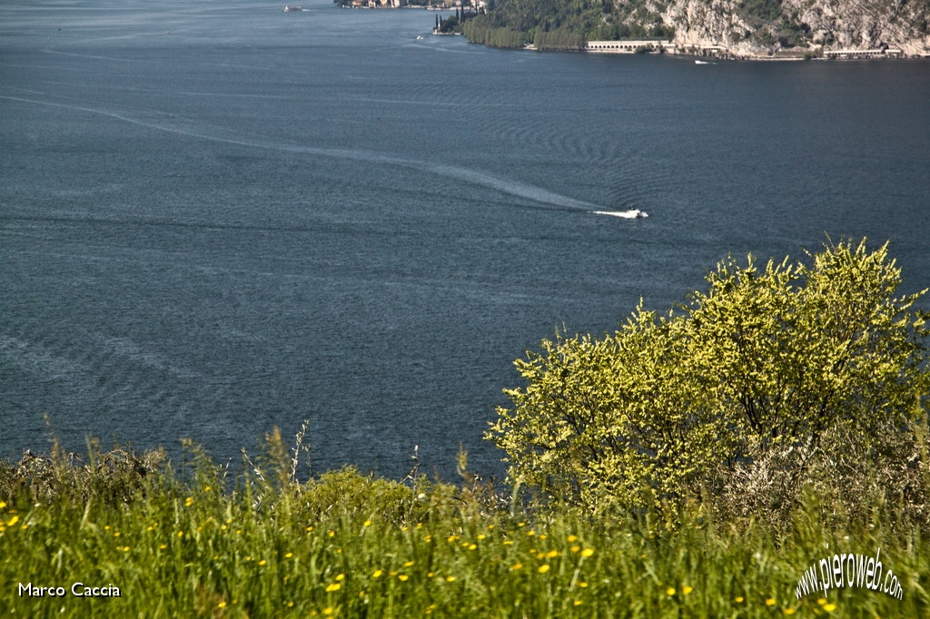 17_Forme e colori nel Lago.JPG